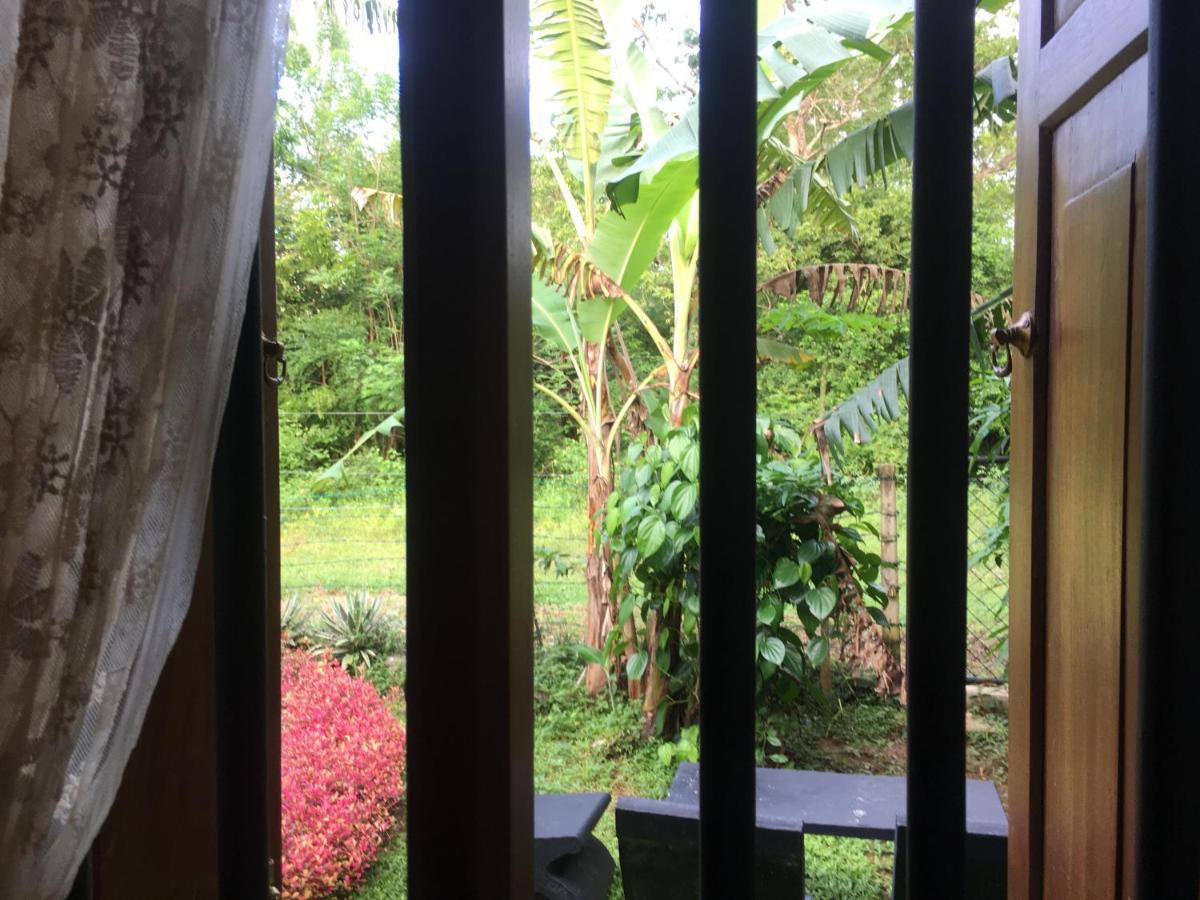 Owls Nest Hotel Udawalawe Eksteriør billede