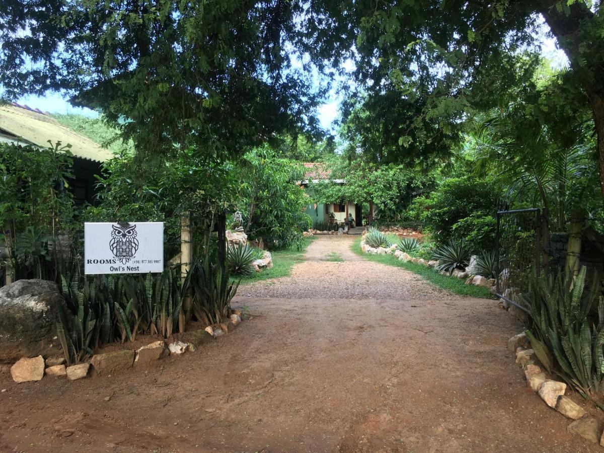 Owls Nest Hotel Udawalawe Eksteriør billede