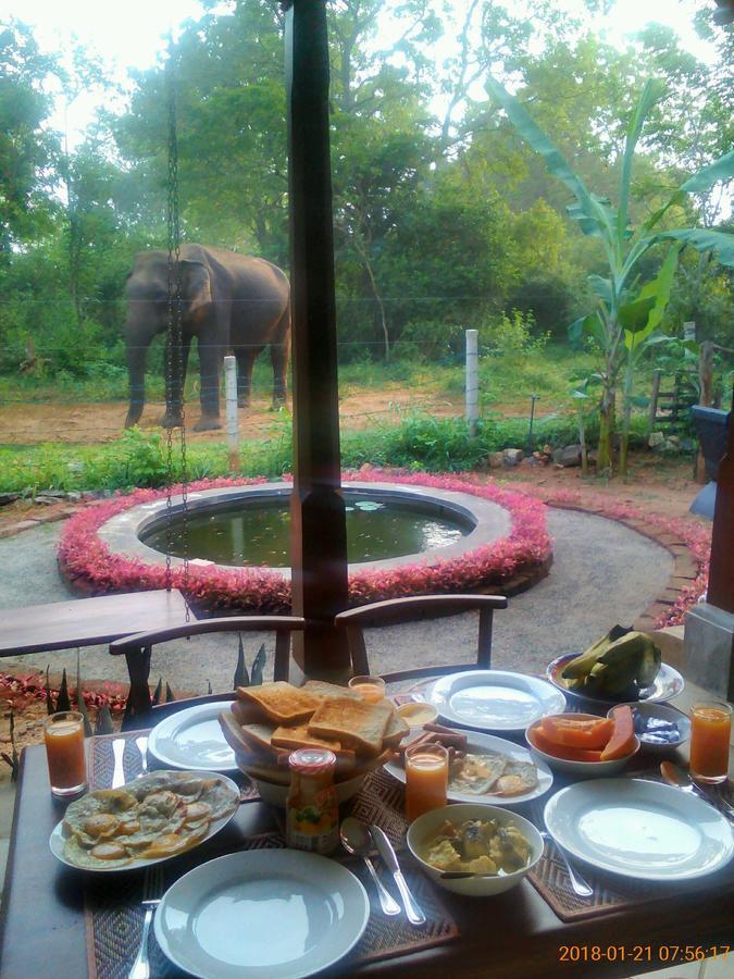Owls Nest Hotel Udawalawe Eksteriør billede